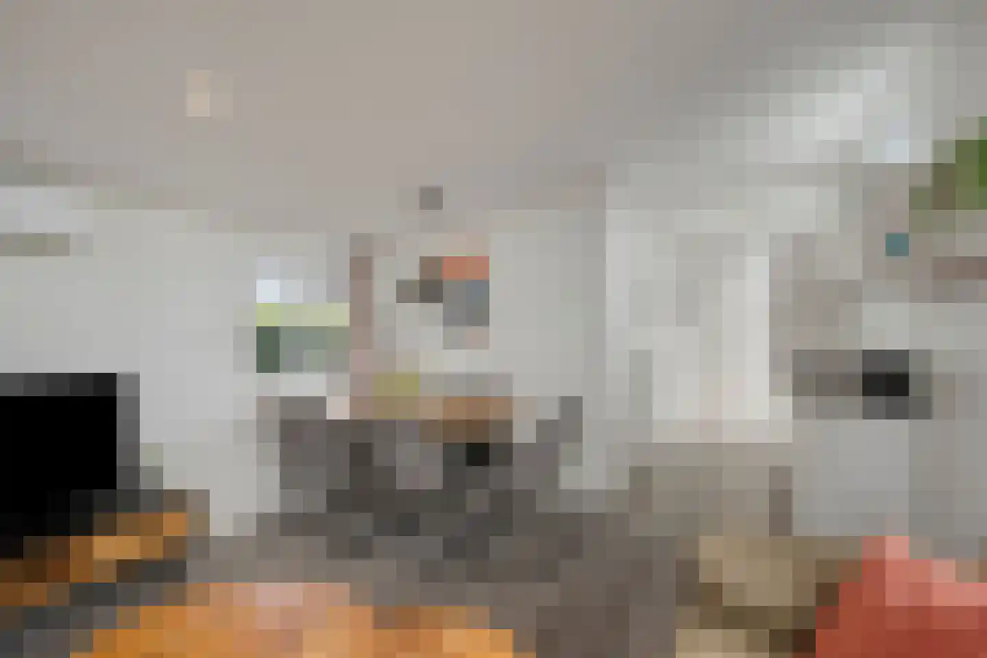 Zaaiwaard 3 a 44 Aalst thumbnail 13