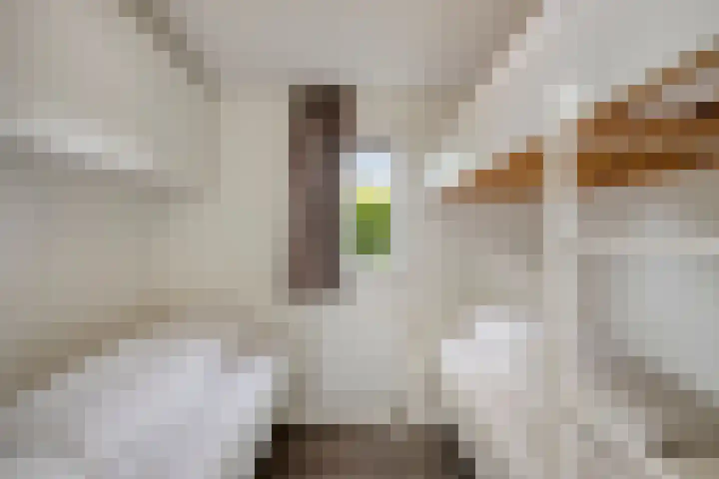 Zaaiwaard 3 a 44 Aalst thumbnail 17