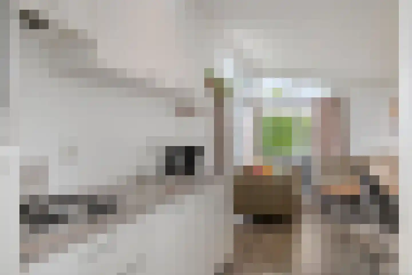 Zaaiwaard 3 a 44 Aalst thumbnail 7
