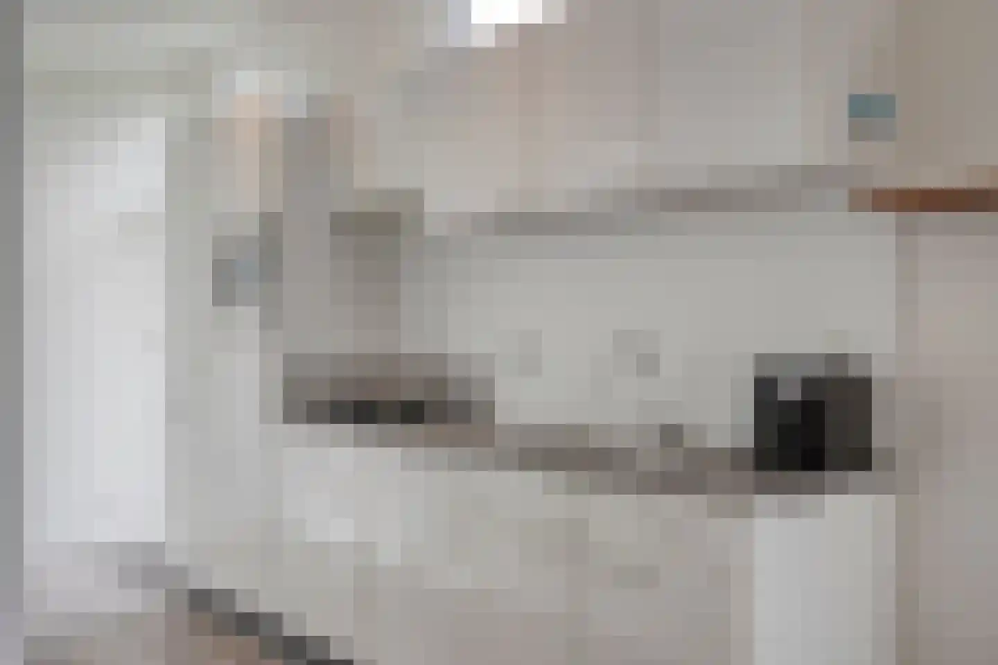 Zaaiwaard 3 a 44 Aalst thumbnail 8