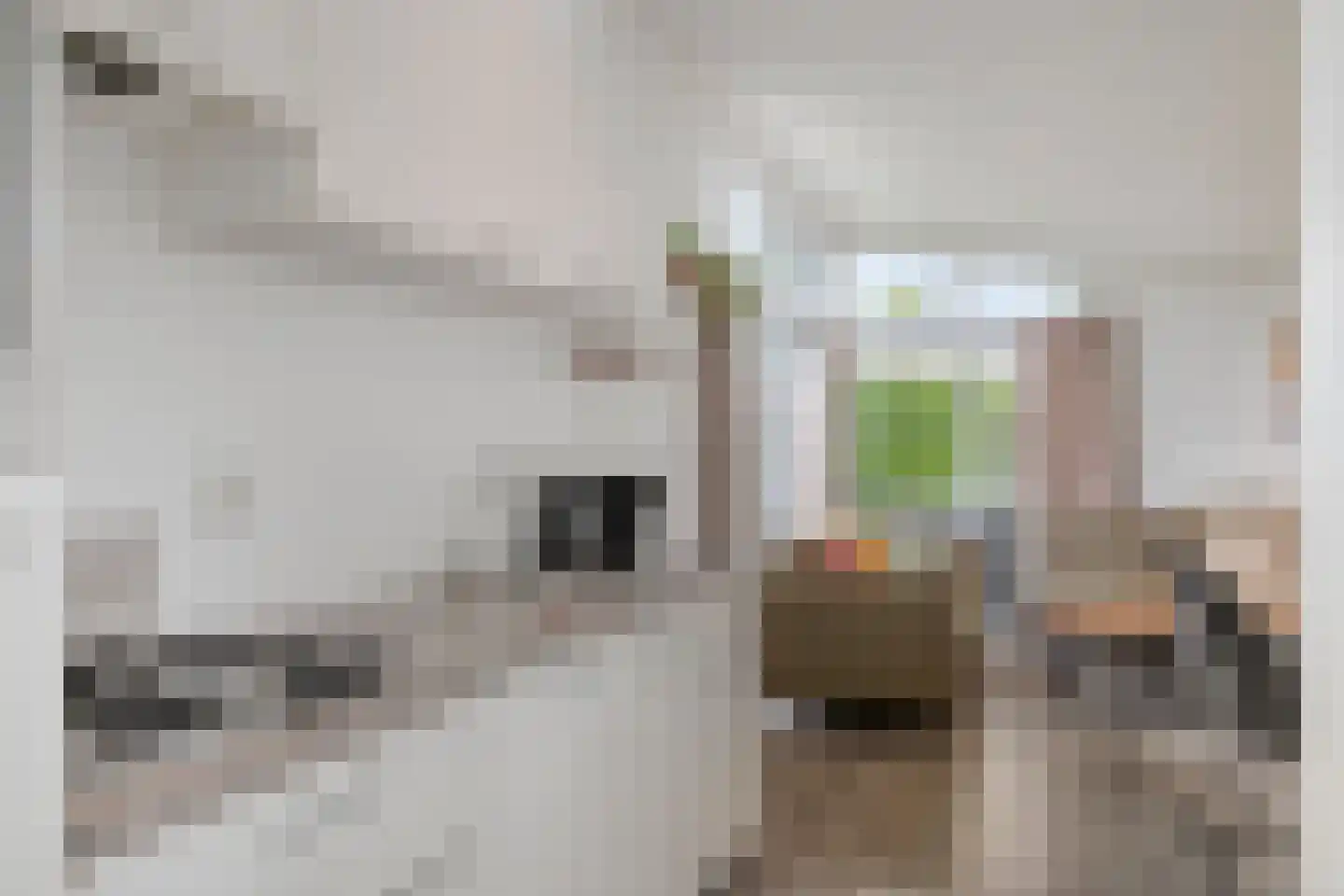 Zaaiwaard 3 a 44 Aalst thumbnail 9