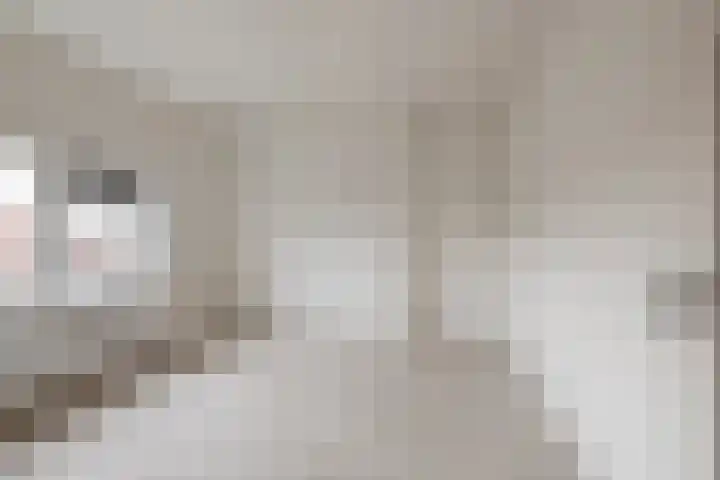Zaaiwaardweg 4 a Geldermalsen thumbnail 14