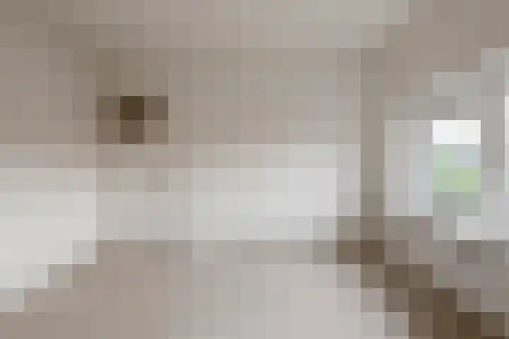 Zaaiwaardweg 4 a Geldermalsen thumbnail 16