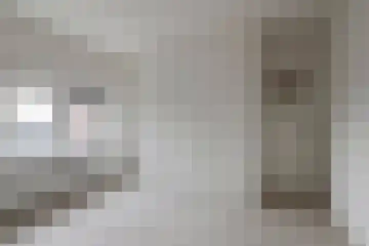 Zaaiwaardweg 4 a Geldermalsen thumbnail 18