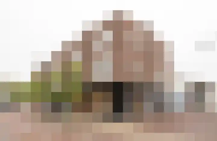 Zaaiwaardweg 4 a Geldermalsen thumbnail 19
