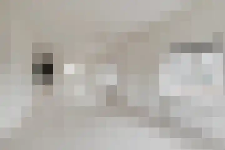 Zaaiwaardweg 4 a Geldermalsen thumbnail 4