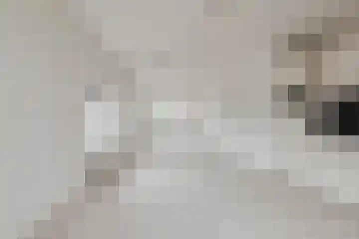 Zaaiwaardweg 4 a Geldermalsen thumbnail 5