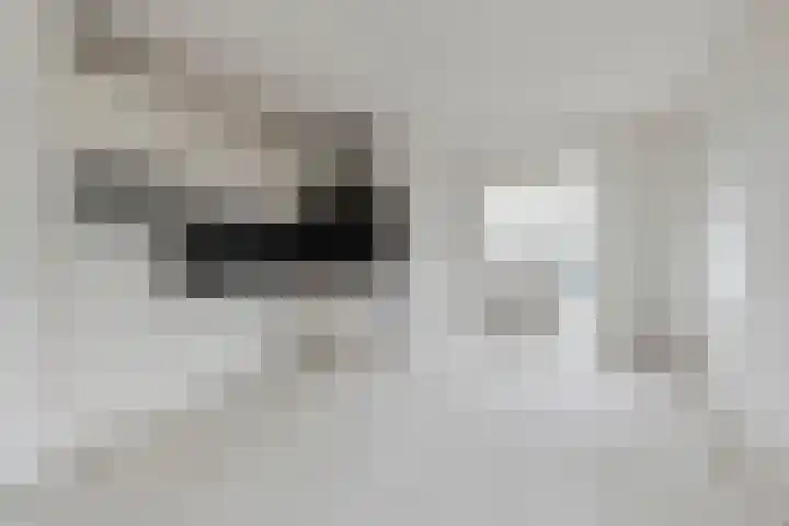 Zaaiwaardweg 4 a Geldermalsen thumbnail 7