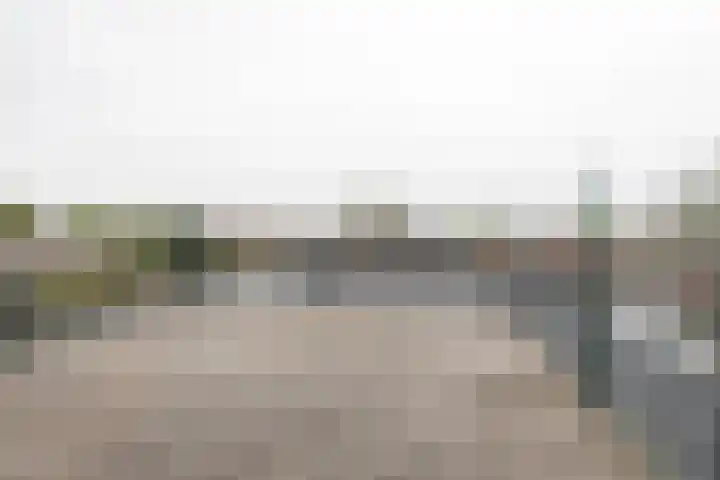Zaaiwaardweg 4 a Geldermalsen thumbnail 8