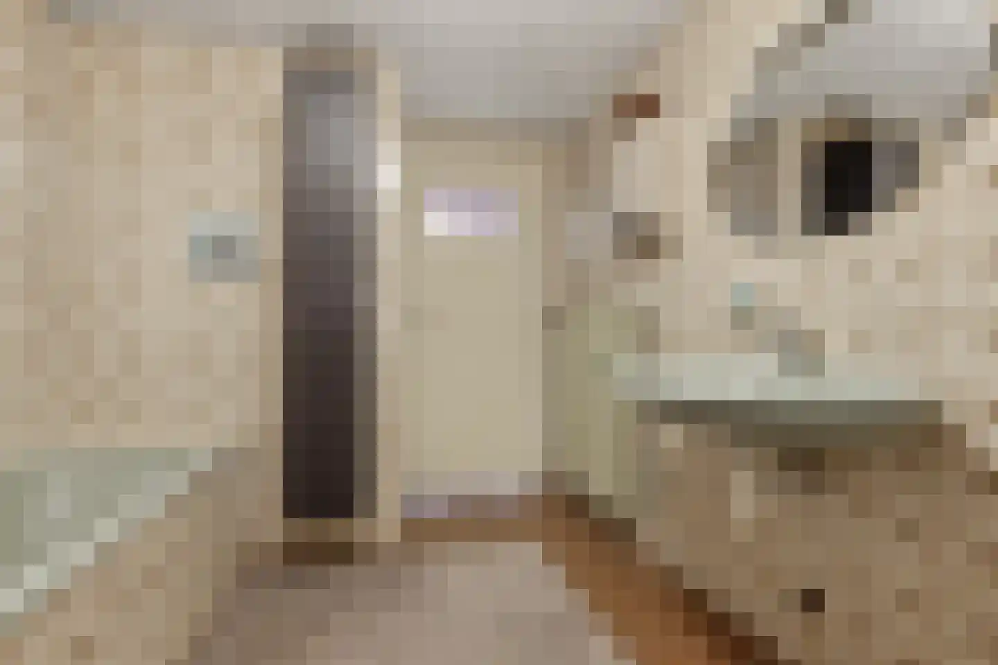 Zaalberglaan 27 Heemskerk thumbnail 31