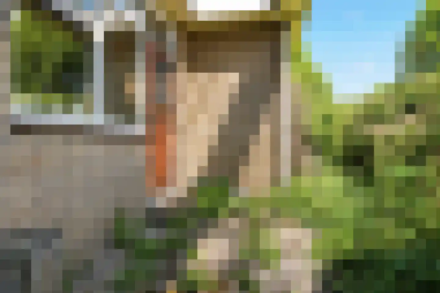 Zaalberglaan 27 Heemskerk thumbnail 38