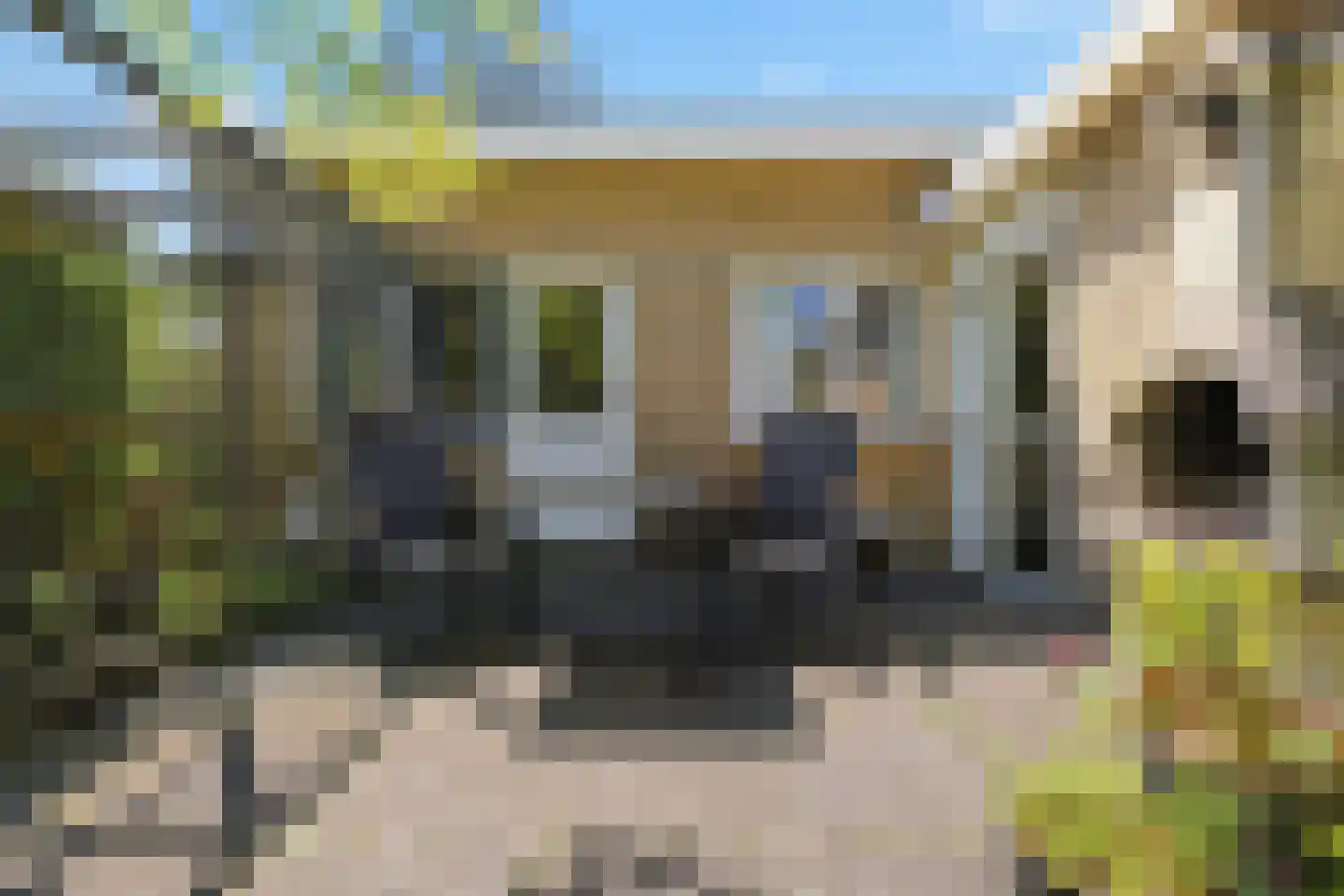 Zaalberglaan 27 Heemskerk thumbnail 39