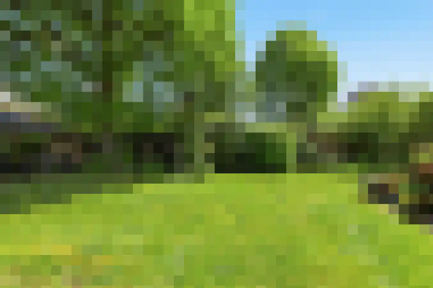 Zaalberglaan 27 Heemskerk thumbnail 48