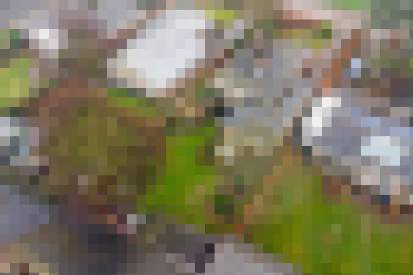 Zaalberglaan 27 Heemskerk thumbnail 51