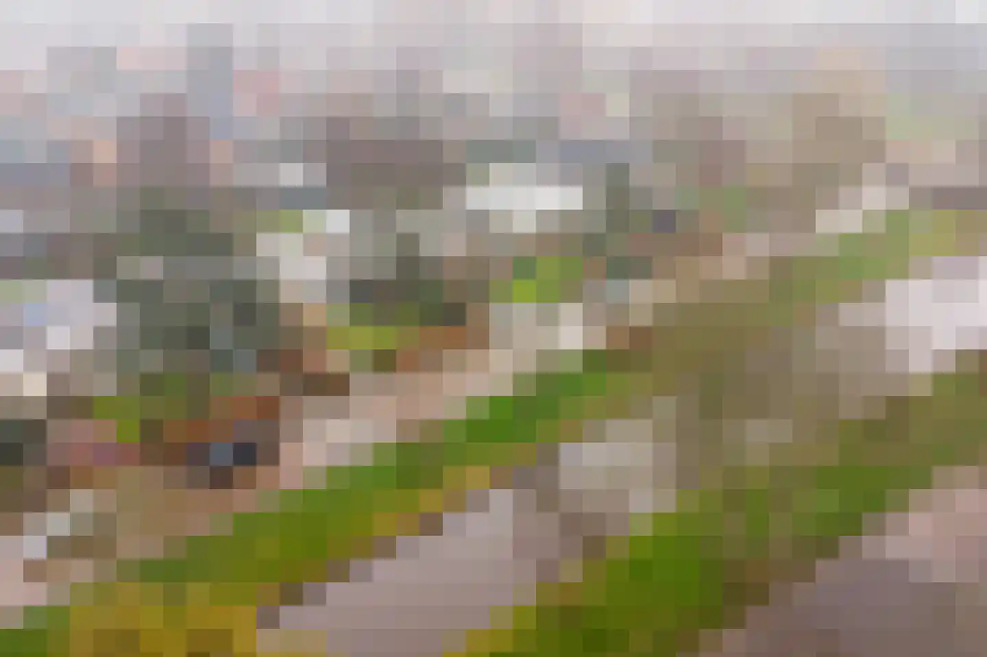 Zaalberglaan 27 Heemskerk thumbnail 52