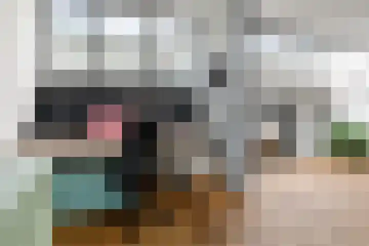 Zaalboslaan 45 Velp thumbnail 11