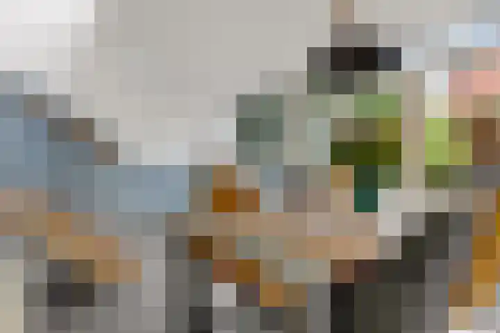 Zaalboslaan 45 Velp thumbnail 15
