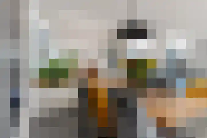 Zaalboslaan 45 Velp thumbnail 16