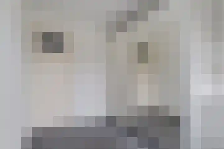 Zaalboslaan 45 Velp thumbnail 25