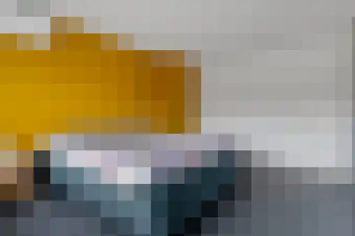 Zaalboslaan 45 Velp thumbnail 27