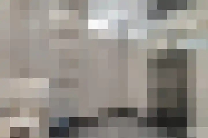 Zaalboslaan 45 Velp thumbnail 30