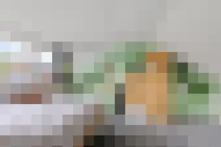 Zaalboslaan 45 Velp thumbnail 33
