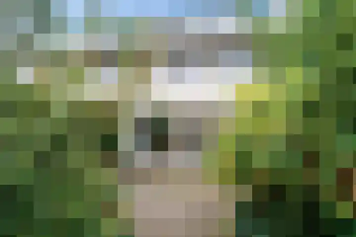 Zaalboslaan 45 Velp thumbnail 34