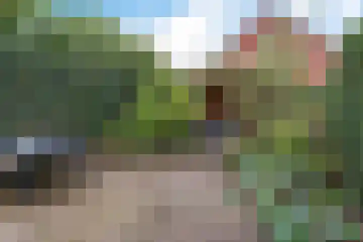 Zaalboslaan 45 Velp thumbnail 35