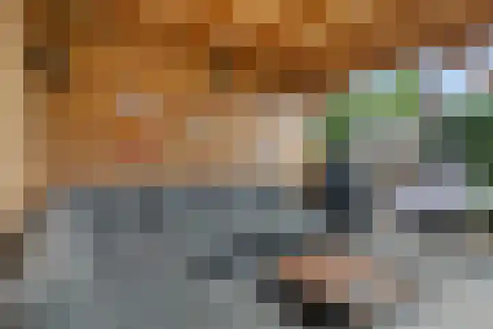 Zaalboslaan 45 Velp thumbnail 36