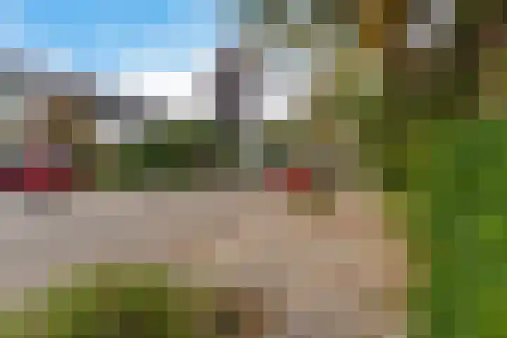 Zaalboslaan 45 Velp thumbnail 38