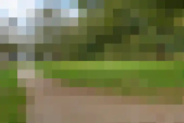 Zaalboslaan 45 Velp thumbnail 39