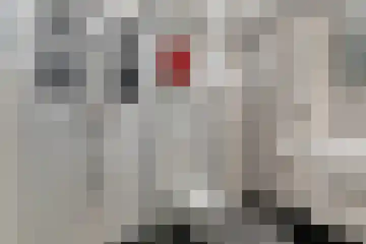 Zaalboslaan 45 Velp thumbnail 4