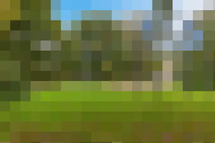 Zaalboslaan 45 Velp thumbnail 40