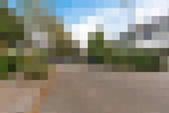 Zaalboslaan 45 Velp thumbnail 6