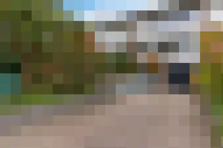 Zaalboslaan 45 Velp thumbnail 7