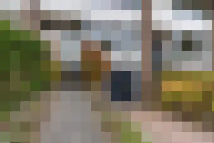 Zaalboslaan 45 Velp thumbnail 8