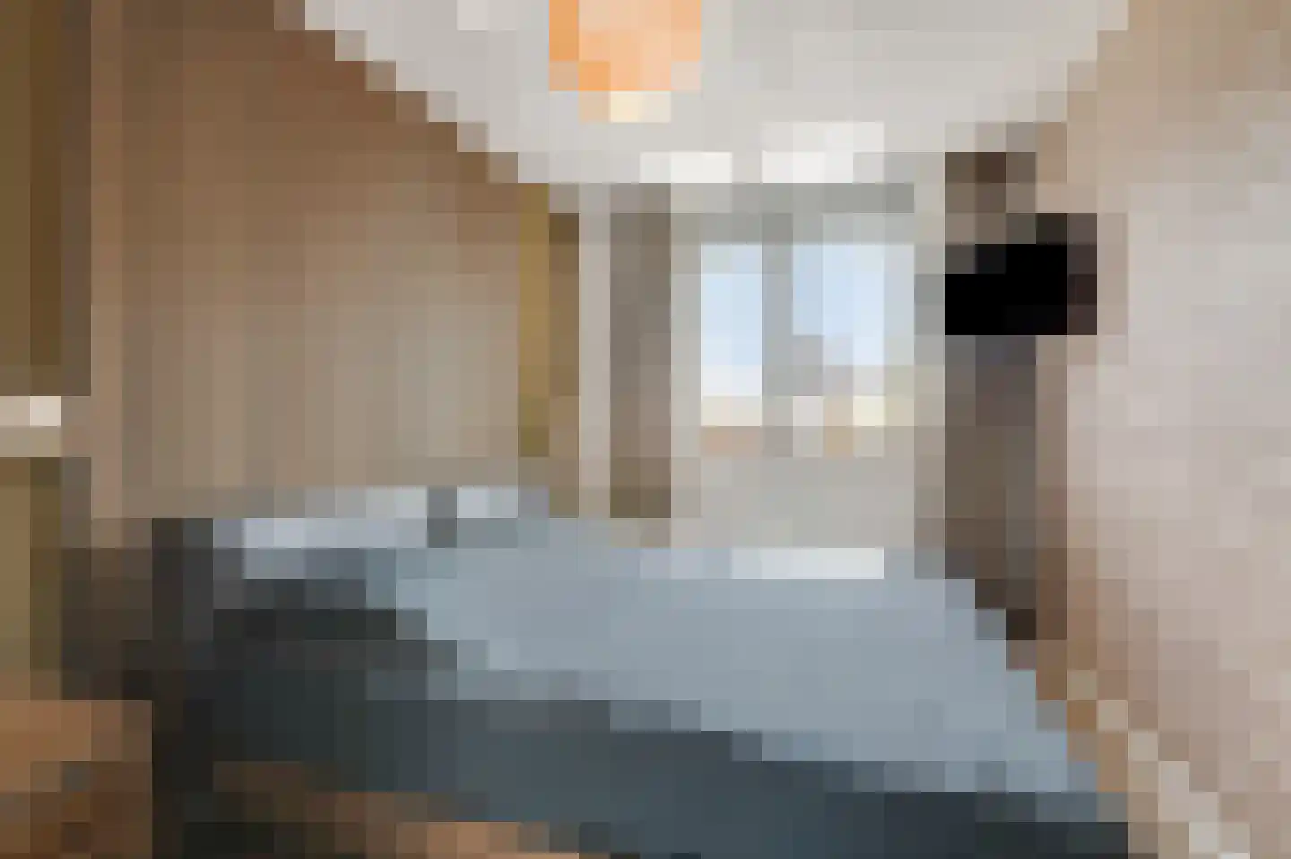 Zaalbospad 24 Velp thumbnail 14