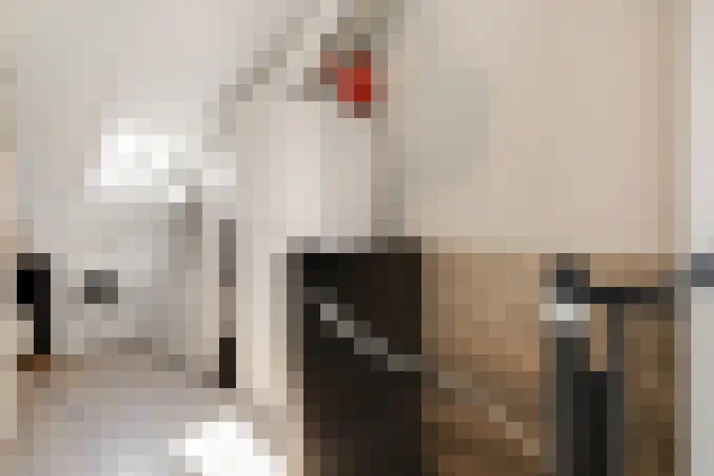 Zaalbospad 24 Velp thumbnail 24