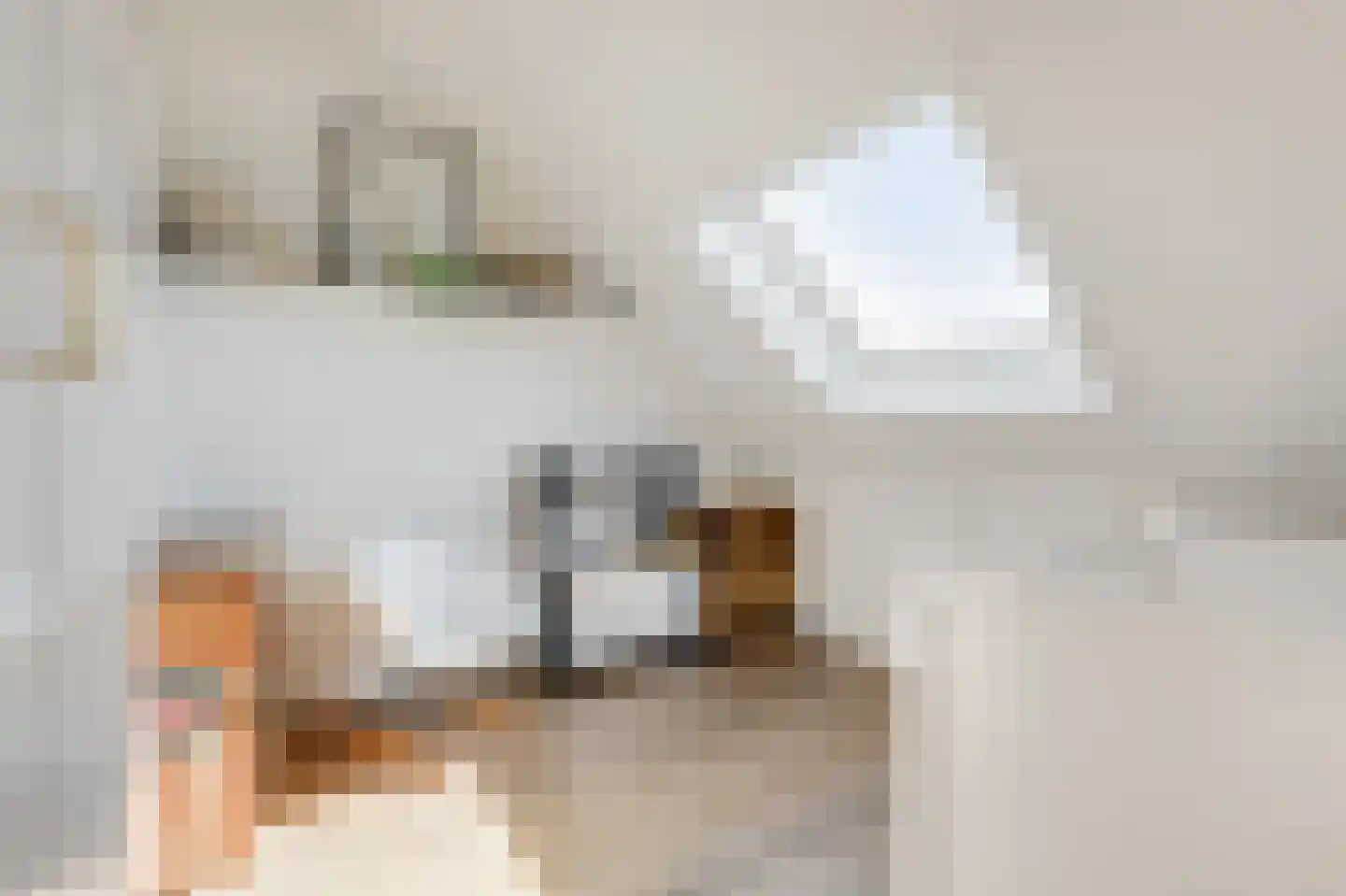 Zaalbospad 24 Velp thumbnail 25