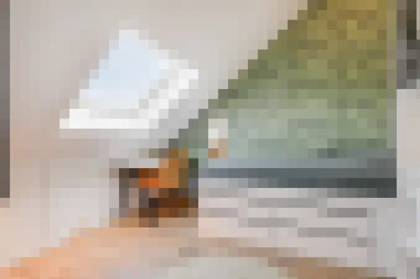 Zaalbospad 24 Velp thumbnail 27