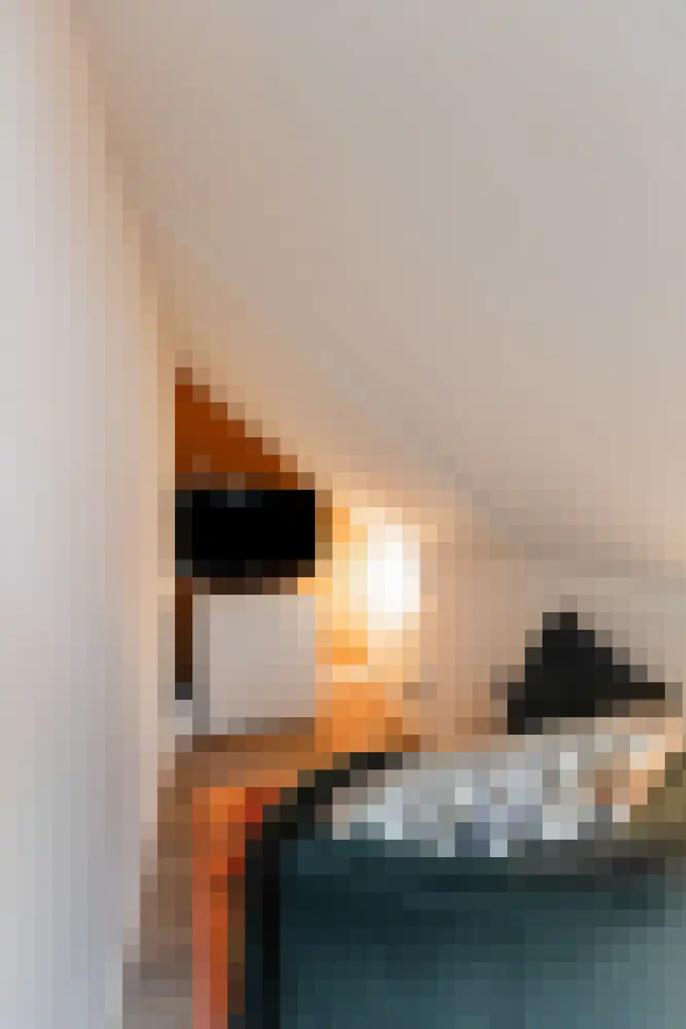 Zaalbospad 24 Velp thumbnail 28