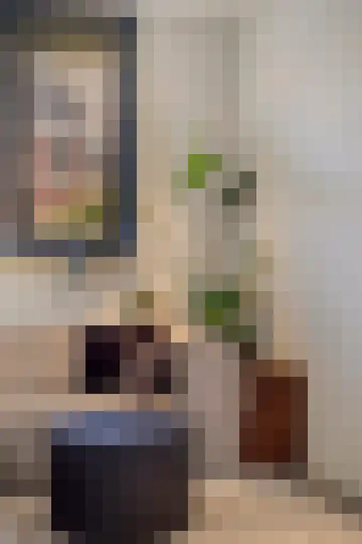 Zaalbospad 36 Velp thumbnail 13