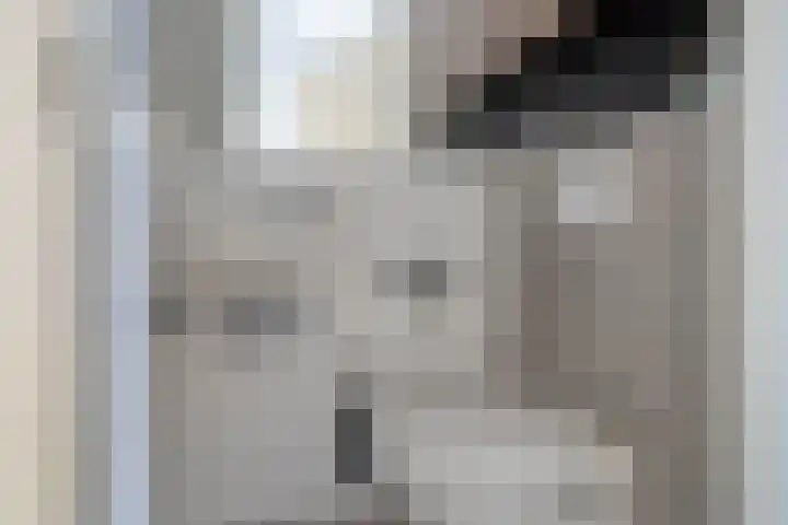 Zaalbospad 36 Velp thumbnail 15