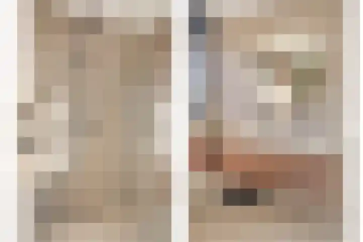 Zaalbospad 36 Velp thumbnail 18