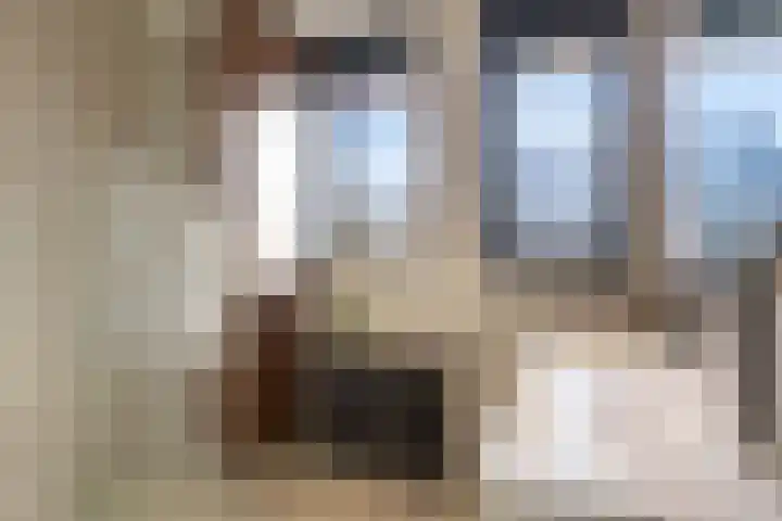 Zaalbospad 36 Velp thumbnail 20