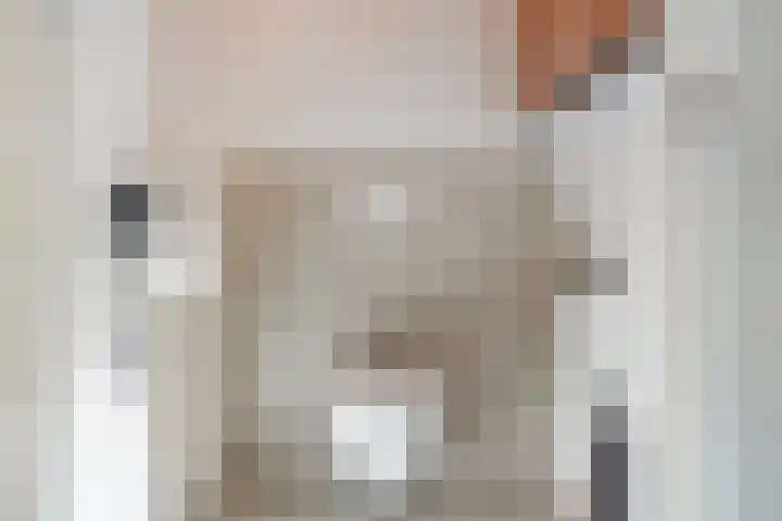 Zaalbospad 36 Velp thumbnail 23