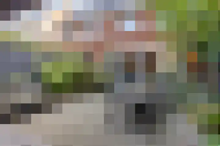 Zaalbospad 36 Velp thumbnail 28