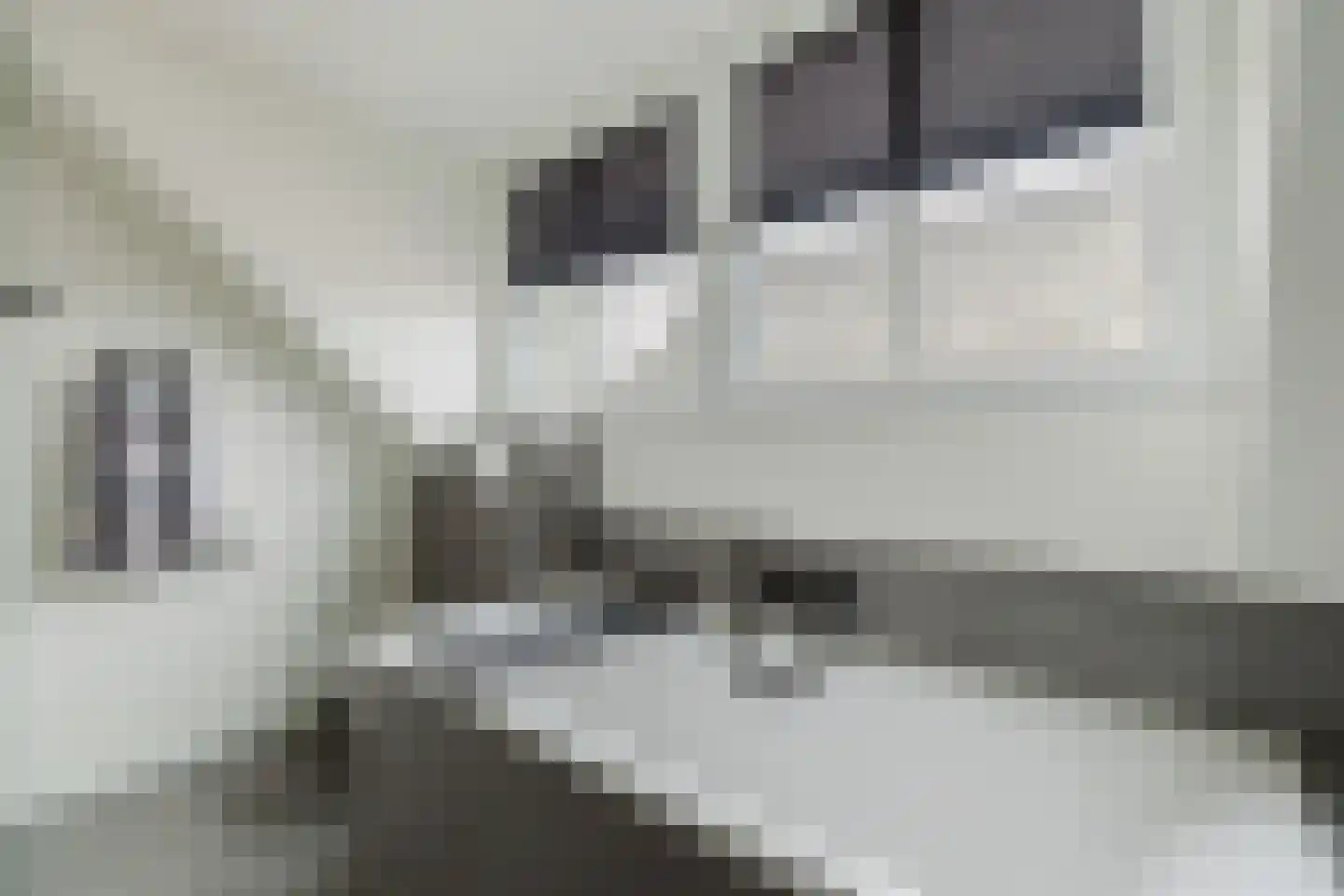 Zaalbospad 36 Velp thumbnail 35