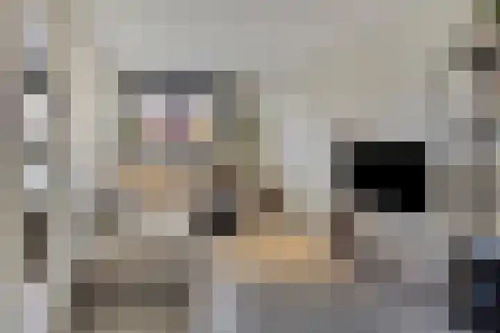 Zaalbospad 36 Velp thumbnail 4