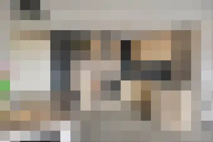 Zaalbospad 5 Velp thumbnail 21